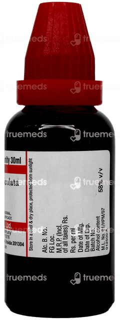 Dr Willmar Schwabe Andrographis Paniculata Q Mother Tincture 30ml